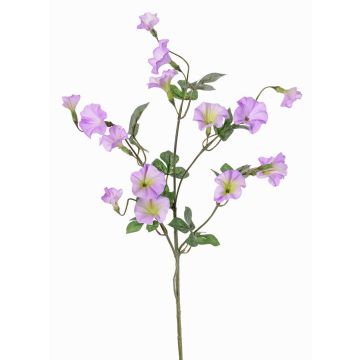 Konstgjord trichterblomma, gren IORDANIS, lila-grön, 80cm, Ø3-5,5cm Konstgjord trichterblomma, gren IORDANIS, lila-grön, 80cm, Ø3-5,5cm