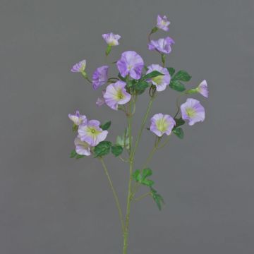 Konstgjord trichterblomma, gren IORDANIS, lila-grön, 80cm, Ø3-5,5cm Konstgjord trichterblomma, gren IORDANIS, lila-grön, 80cm, Ø3-5,5cm