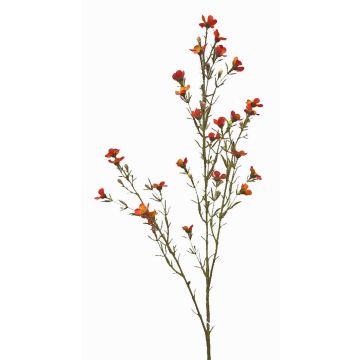 Konstgjord vaxblomma NIANG, orange-röd, 80cm, Ø1,5-2,5cm