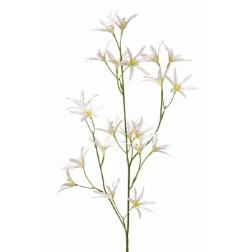 Konstgjord blomma, kvist Tweedia solanoides PALLAS, vit, 70cm, Ø5cm