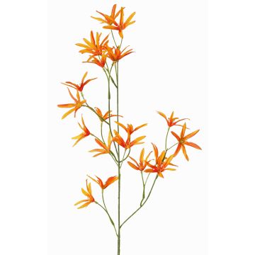 Konstgjord blomkvist Tweedia solanoides PALLAS, orange, 70cm, Ø5cm