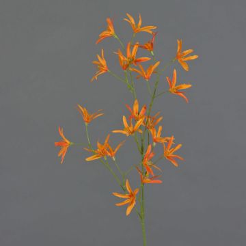 Konstgjord blomkvist Tweedia solanoides PALLAS, orange, 70cm, Ø5cm Konstgjord blomkvist Tweedia solanoides PALLAS, orange, 70cm, Ø5cm