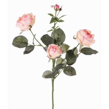 Konstgjord rosgren DIAMANTIS, rosa-krämfärgad, 70cm, Ø5-8cm Konstgjord rosgren DIAMANTIS, rosa-krämfärgad, 70cm, Ø5-8cm