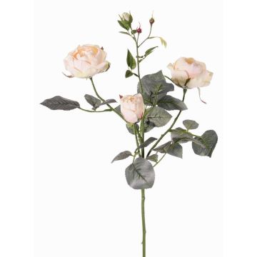 Konstgjord rosgren DIAMANTIS, blekrosa, 70cm, Ø5-8cm Konstgjord rosgren DIAMANTIS, blekrosa, 70cm, Ø5-8cm