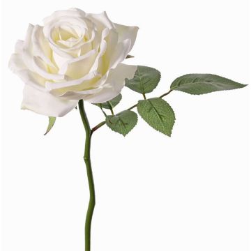 Konstgjord ros NIKOLETA, vit, 30cm, Ø12cm Konstgjord ros NIKOLETA, vit, 30cm, Ø12cm