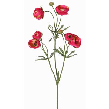 Konstgjord ranunkel YARIS, cerise-grön, 65cm, Ø3-4,5cm Konstgjord ranunkel YARIS, cerise-grön, 65cm, Ø3-4,5cm