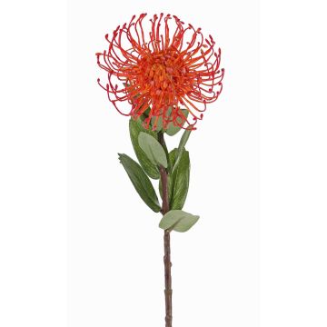 Konstgjord nåldyna Protea BAILY, orange, 55cm, Ø10cm