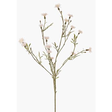 Konstgjord blomkvist, blåklint ZENOBIOS, krämfärgad, 80cm, Ø3-4cm Konstgjord blomkvist, blåklint ZENOBIOS, krämfärgad, 80cm, Ø3-4cm