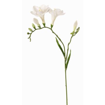 Konstblomma freesia MARUSHA, vit, 70cm, Ø6cm Konstblomma freesia MARUSHA, vit, 70cm, Ø6cm