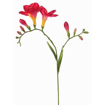 Konstgjord freesia MARUSHA, cerise, 70cm, Ø6cm Konstgjord freesia MARUSHA, cerise, 70cm, Ø6cm