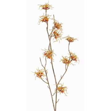 Konstgjord trollhasselkvist XYLA, blommor, orange-gul, 70cm, Ø6cm