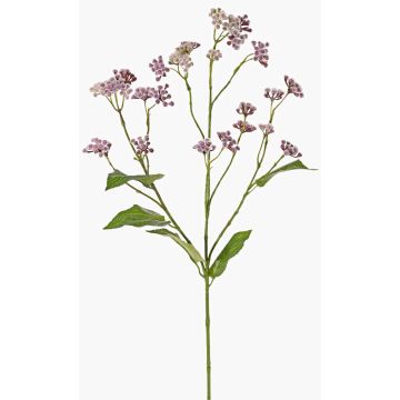 Dekorativ kvist av vattenstjärna KORALIA, violett, 80cm, Ø4-7cm Dekorativ kvist av vattenstjärna KORALIA, violett, 80cm, Ø4-7cm