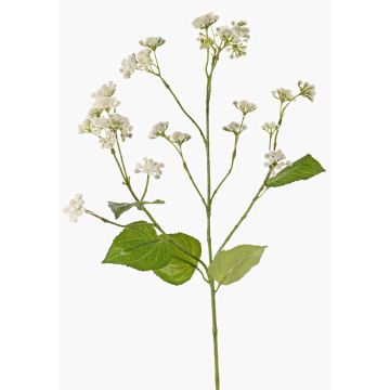 Dekorativ kvist av vattenkörsbär KORALIA, krämfärgad, 80cm, Ø4-7cm Dekorativ kvist av vattenkörsbär KORALIA, krämfärgad, 80cm, Ø4-7cm