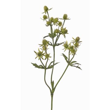 Konstgjord blomkvist, edeldistel KALYPSO, grön, 65cm, Ø3-4cm