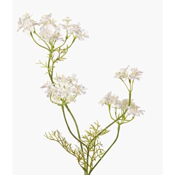 Konstgjord kvist vild morot KALOMIRA, vit, 85cm, Ø6-10cm Konstgjord kvist vild morot KALOMIRA, vit, 85cm, Ø6-10cm