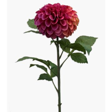 Textilblomma pompondahlia MILEYA, violett-cerise-krämfärgad, 75cm, Ø12cm Textilblomma pompondahlia MILEYA, violett-cerise-krämfärgad, 75cm, Ø12cm