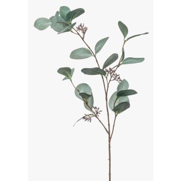 Konstgjord eukalyptusgren MAXEN med frukter, grågrön, 75cm