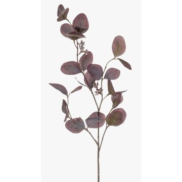 Konstgjord eukalyptusgren MAXEN med frukter, violett-grå, 75cm Konstgjord eukalyptusgren MAXEN med frukter, violett-grå, 75cm