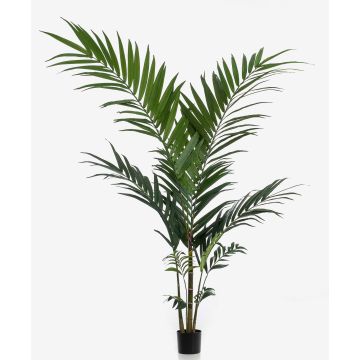 Konstgjord kentiapalm NESTA, 150cm