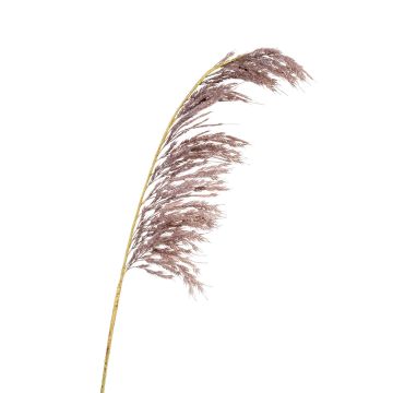 Konstgjord gren med pampasgräsris SGARLAD, mörklila, 125cm