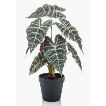 Konstgjord växt Alocasia Sanderiana UTHER, grön-vit, 40cm Konstgjord växt Alocasia Sanderiana UTHER, grön-vit, 40cm