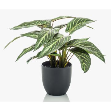 Konstgjord krukväxt Calathea Zebrina VAIDA i dekorativ kruka, grön-vit, 40cm