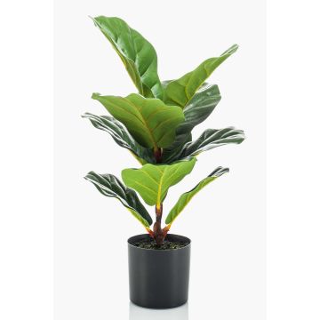 Konstgjord Ficus Lyrata EMILIANA, grön, 55cm