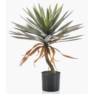 Konstgjord Yucca elephantipes KOUKI, 75cm