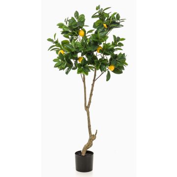 Konstgjord citronträd MAKOTO, konstgjord stam, med frukter, 150cm Konstgjord citronträd MAKOTO, konstgjord stam, med frukter, 150cm