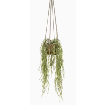 Konstgjord hängväxt Hoya linearis MIKI, terrakottakruka, grön, 85cm Konstgjord hängväxt Hoya linearis MIKI, terrakottakruka, grön, 85cm