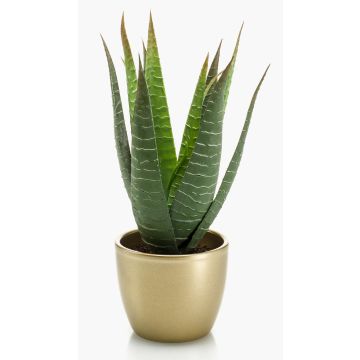 Konstgjord suckulent Aloe Variegata MARTINEZ, keramikkruka i guld, grön, 25cm, Ø17cm