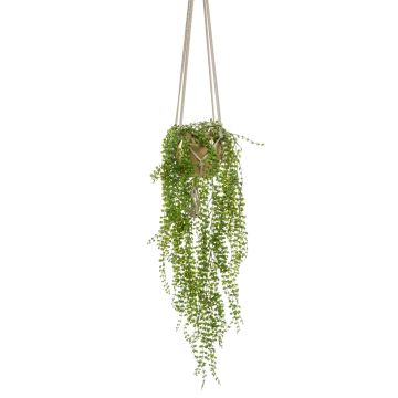 Konstgjord hängväxt klätterfikon AMADOR, keramikkruka i guld, grön, 100cm