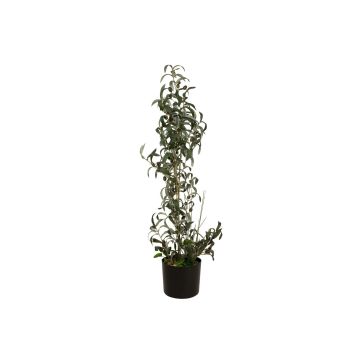 Konstgjord olivbuske LEANDRU med frukter, grön, 105cm Konstgjord olivbuske LEANDRU med frukter, grön, 105cm