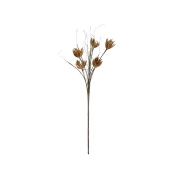 Plastskum Sedum rubrotinctum-gren BIROSSA, crossdoor, beige, 100cm Plastskum Sedum rubrotinctum-gren BIROSSA, crossdoor, beige, 100cm