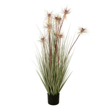 Plaststjärngräs STISA med ax, rosa, 120cm Plaststjärngräs STISA med ax, rosa, 120cm