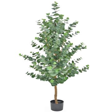 Konstgjord eukalyptusträd WEONFYN, konstgjord stam, grön, 180cm Konstgjord eukalyptusträd WEONFYN, konstgjord stam, grön, 180cm
