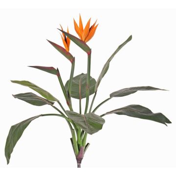 Konstgjord strelitzia NUBIA på stödpinne, orange-violett, 70cm, 17x22cm Konstgjord strelitzia NUBIA på stödpinne, orange-violett, 70cm, 17x22cm