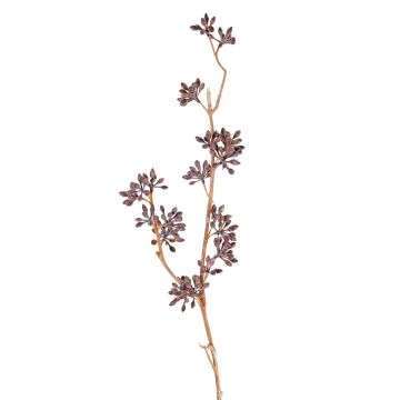 Eukalyptusgren i plast SOHA med frukter, brun, 60cm Eukalyptusgren i plast SOHA med frukter, brun, 60cm