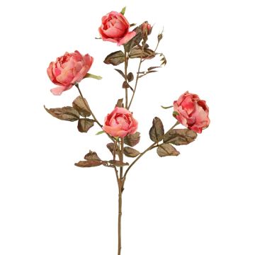 Konstgjord rosgren SITARA, torkad look, rosa-cerise, 75cm, Ø5-8cm Konstgjord rosgren SITARA, torkad look, rosa-cerise, 75cm, Ø5-8cm