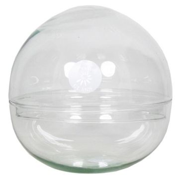 Kulformad terrarium BRYSON i glas, återvunnet, klart, 19,5cm, Ø19,5cm