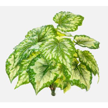 Konstgjord bladbegonia BEVEN på stödpinne, grön-gul, 35cm Konstgjord bladbegonia BEVEN på stödpinne, grön-gul, 35cm
