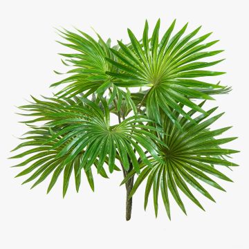 Konstgjord Washingtonia-palm SCHEDIR på stativ, 35cm
