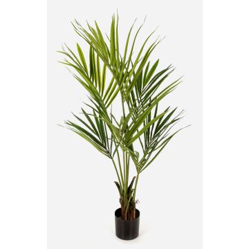 Konstgjord Kentia-palm OMAYRA, 140cm