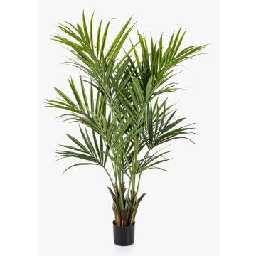 Konstgjord Kentia-palm OMAYRA, buskig, 170cm
