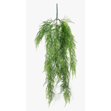 Dekorativ Asparagus Plumosus-hängare ALRISCHA, på pinne, 75cm