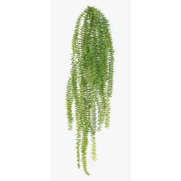 Dekorativ hängande kvinnohårsormbunke GIEDI på stickpinne, grön, 70cm