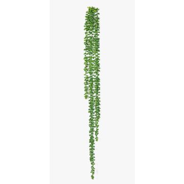 Dekorativ hängande Senecio ARNEB på stickpinne, grön, 90cm Dekorativ hängande Senecio ARNEB på stickpinne, grön, 90cm
