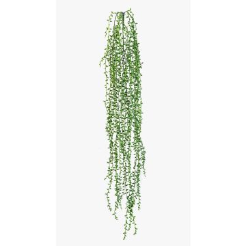 Dekorativ hängande senecio FANJA på stickpinne, grön, 85cm Dekorativ hängande senecio FANJA på stickpinne, grön, 85cm