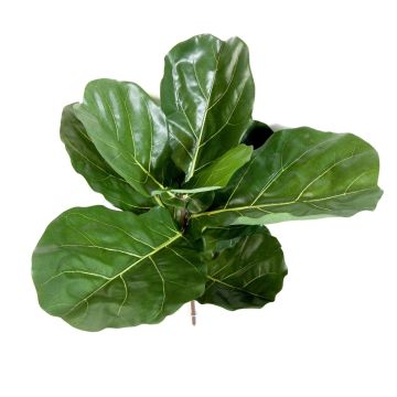 Konstgjord Ficus Lyrata ATIKA på stödpinne, grön, 60cm