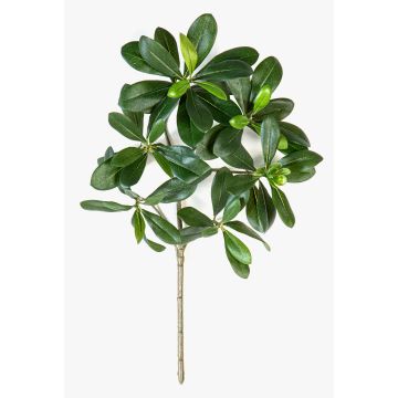 Konstgjord klebsamen-gren MASON, svårantändlig, 40cm Konstgjord klebsamen-gren MASON, svårantändlig, 40cm